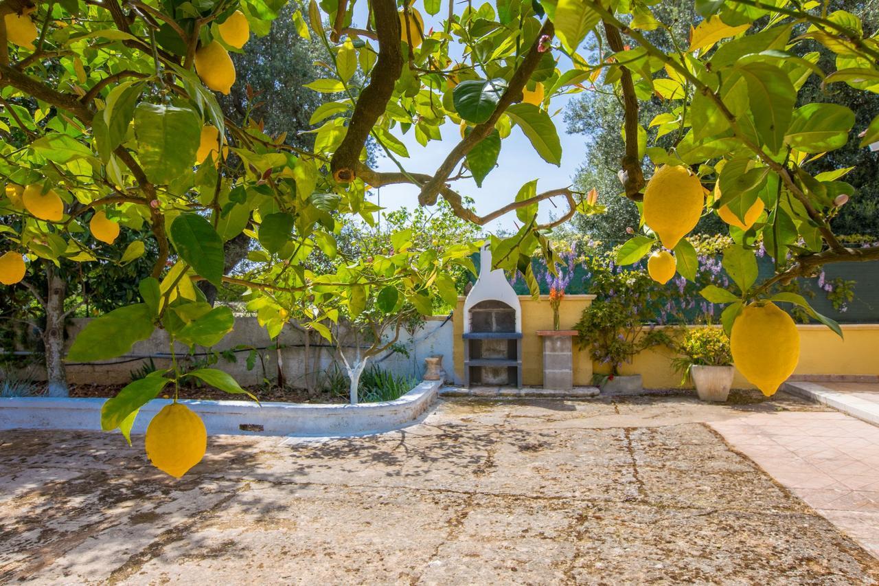 Casa Mediterranea Dei Normanni San Vito dei Normanni Exterior foto